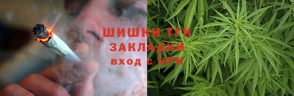 прущие грибы Алексин