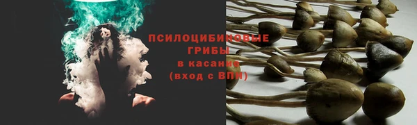 марки nbome Алзамай
