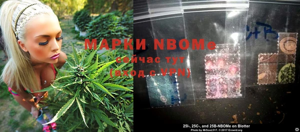 прущие грибы Алексеевка
