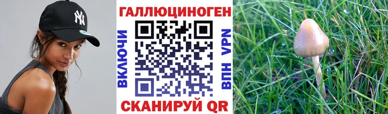 Псилоцибиновые грибы мухоморы  Избербаш 